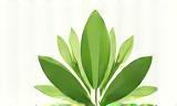 EcoBloom Organics Logo