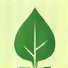 Sustainable practices icon